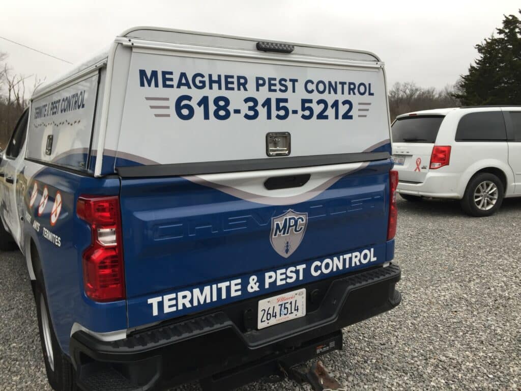 Pest Control Benton IL