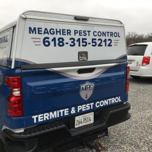 Pest Control, Exterminator, Bed Bug, Termite Control, pest control salem il
